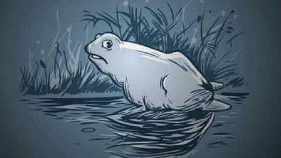 Ves Algo Mas En La Ilusion Optica De La Rana El Comercio