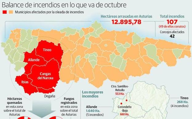 El fuego arrasó 12.825 hectáreas