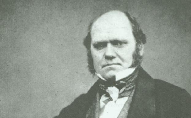 Retrato de Charles Darwin./Archivo