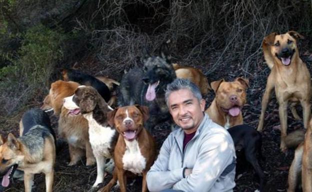 Intentan robar en la casa de Cesar Millán y esto es lo que ocurre Intentan robar en la casa de Cesar Millán y esto es lo que ocurre