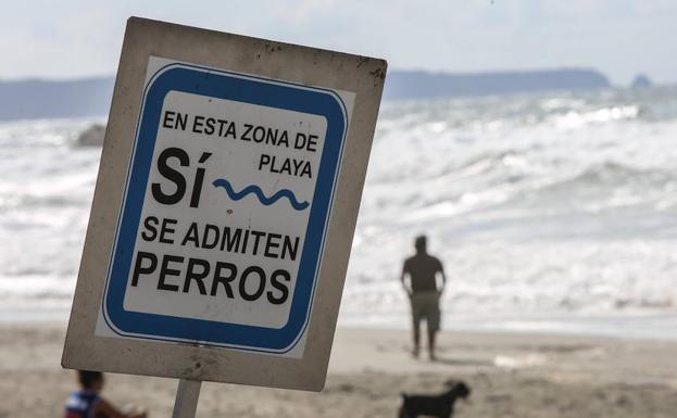 Castrillón permite el acceso con perros en una zona de la playa de Bayas . /Marieta