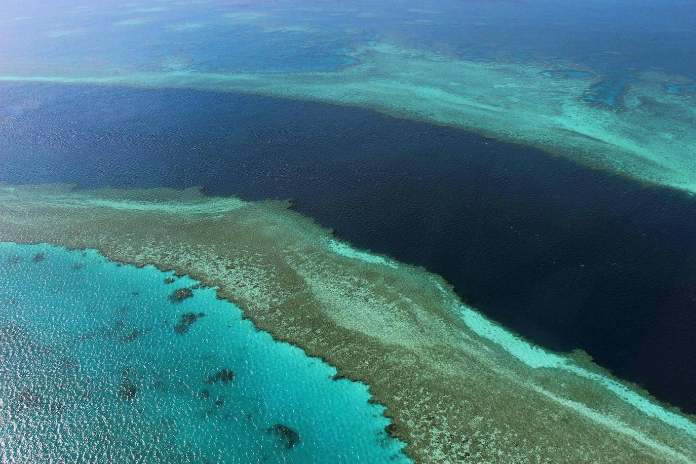 Fotos Est En Peligro La Gran Barrera De Coral El Comercio