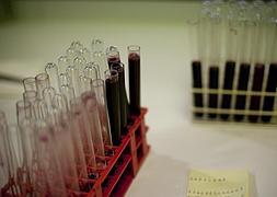 Muestras de vino tinto en el laboratorio de la bodega Pago de Carraovejas. Óscar Chamorro./