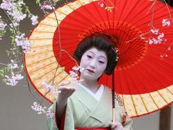Una geisha contempla los cerezos en flor / Everett Kennedy Brown/