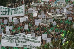 Balance de cinco años verdes