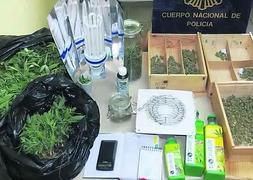 Sistema de ventilación del trastero (arriba) y las cajas con semillas y cogollos y los botes de filtros (debajo), en las imágenes facilitadas por el Cuerpo Nacional de Policía. :: E. C./