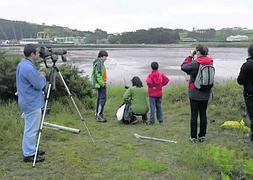 Responsables y voluntarios de Mavea realizan el test de biodiversidad en la Ensenada de Llodero. :: SERGIO LÓPEZ/