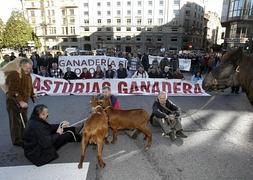 Unidos contra el lobo y el matorral