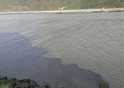 El Colectivo Ecologista denuncia un nuevo vertido contaminante en la ría