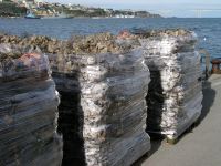 INVESTIGACIÓN. Ostras cultivadas en la ría del Eo. La Universidad estudiará la biología del estuario. / E. C./