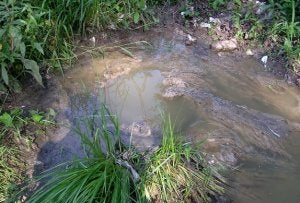 Residuos fecales acumulados en la orilla del río procedentes del colector. ::
COLECTIVO ECOLOGISTA DE AVILÉS/
