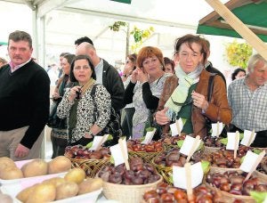 Imagen de la última edición del certamen de la castaña. ::
N. ACEBAL/