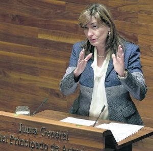 Esther Díaz, consejera de Bienestar, ayer, en la Junta. ::
E. C./