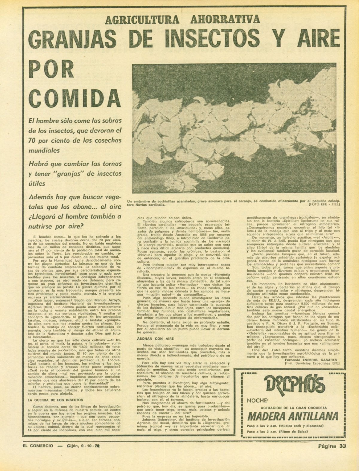 Página 33