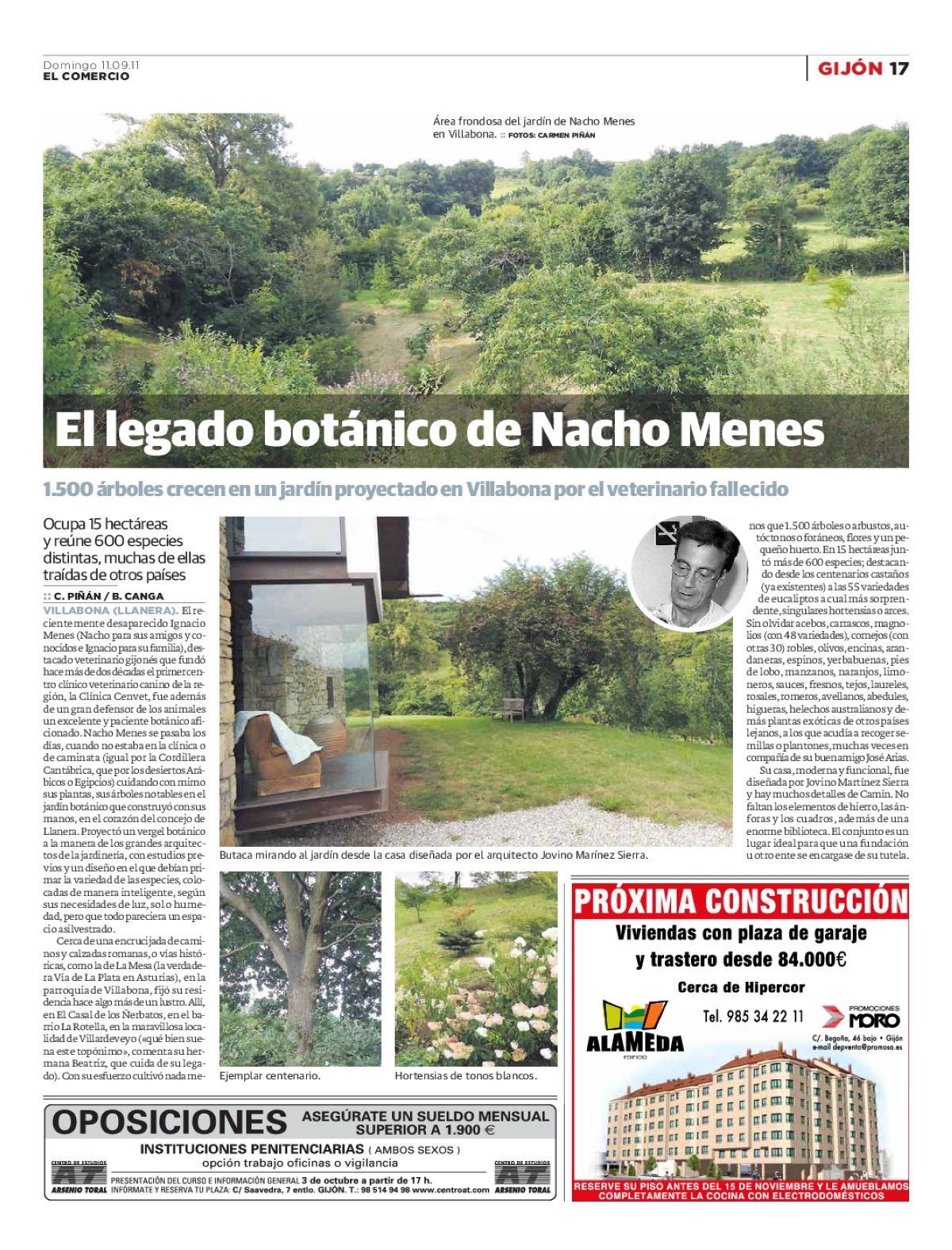 Página 17
