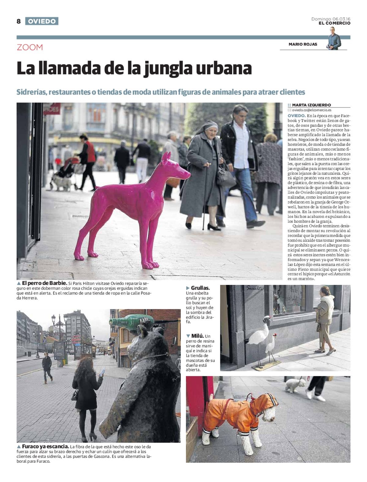 Página 8