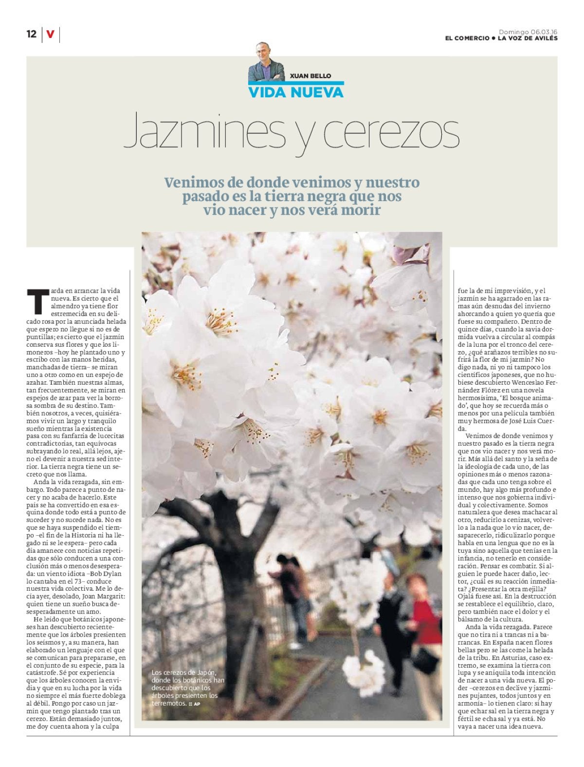 Página 12