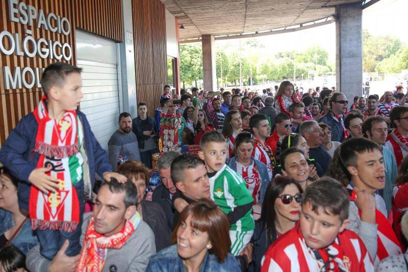 La afición del Sporting se concentra en el último encuentro de Liga del Sproting