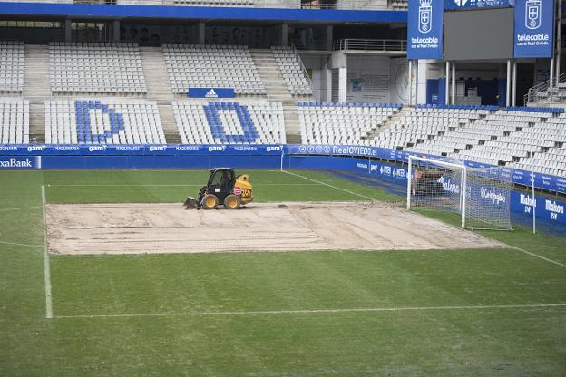 Real Oviedo | Obras en el césped más dañado