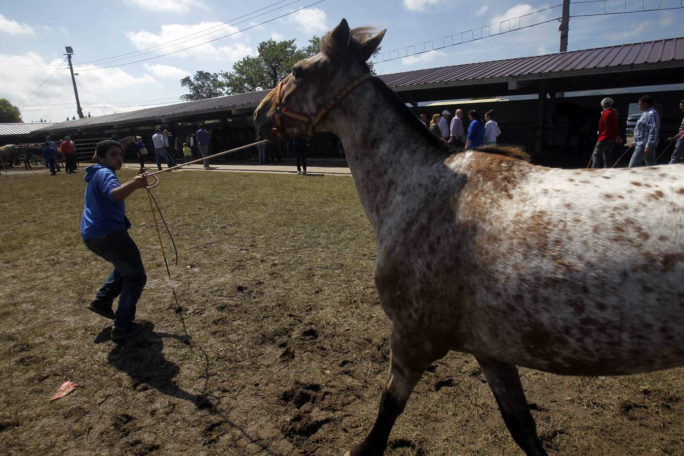Feria de la Ascensión en Llanera