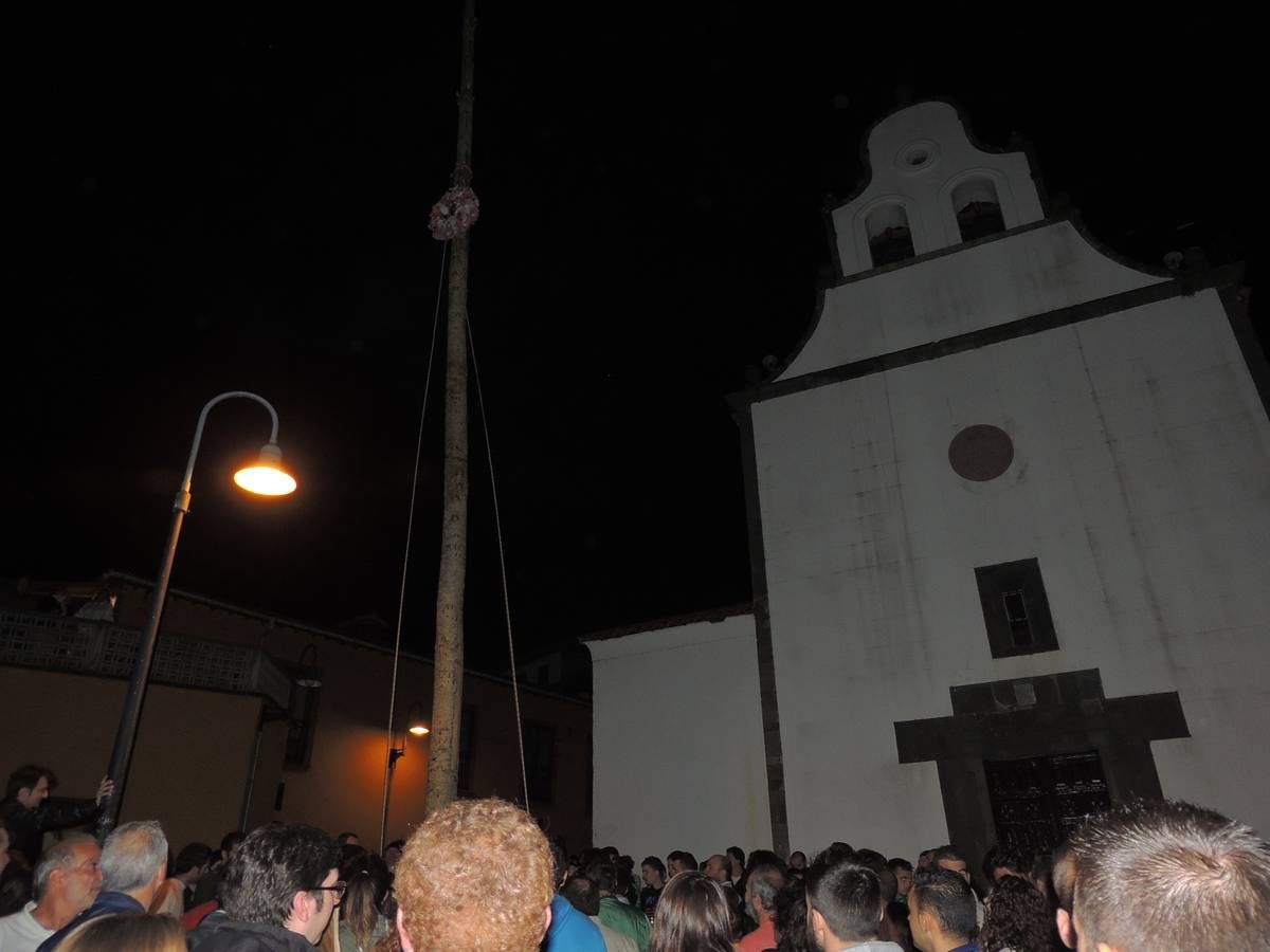 Cangas del Narcea planta el 'arbolón'