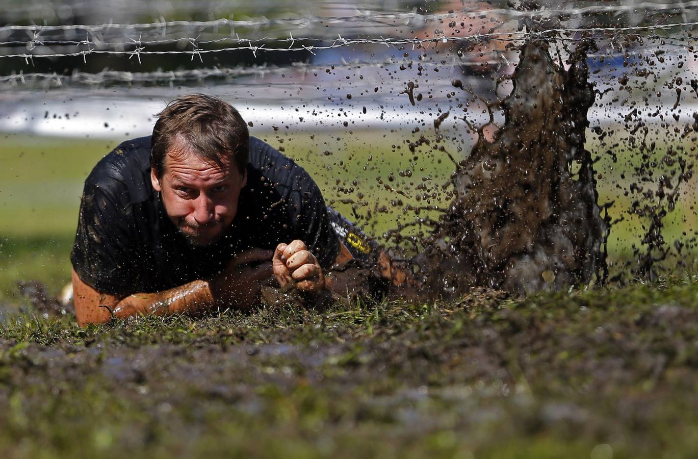 Contra todos los elementos