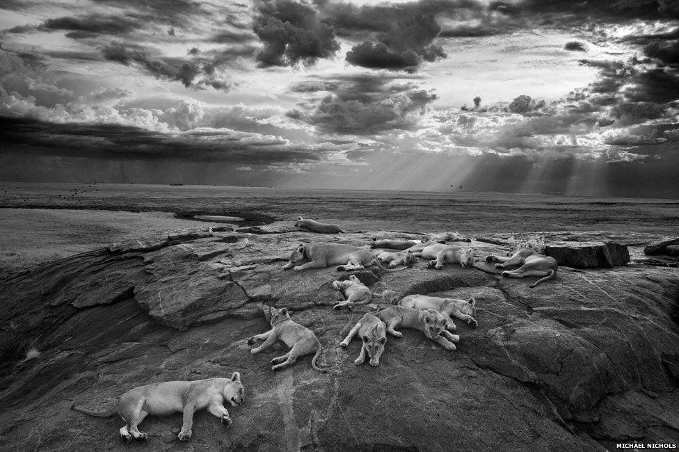 Las mejores fotos de naturaleza del año