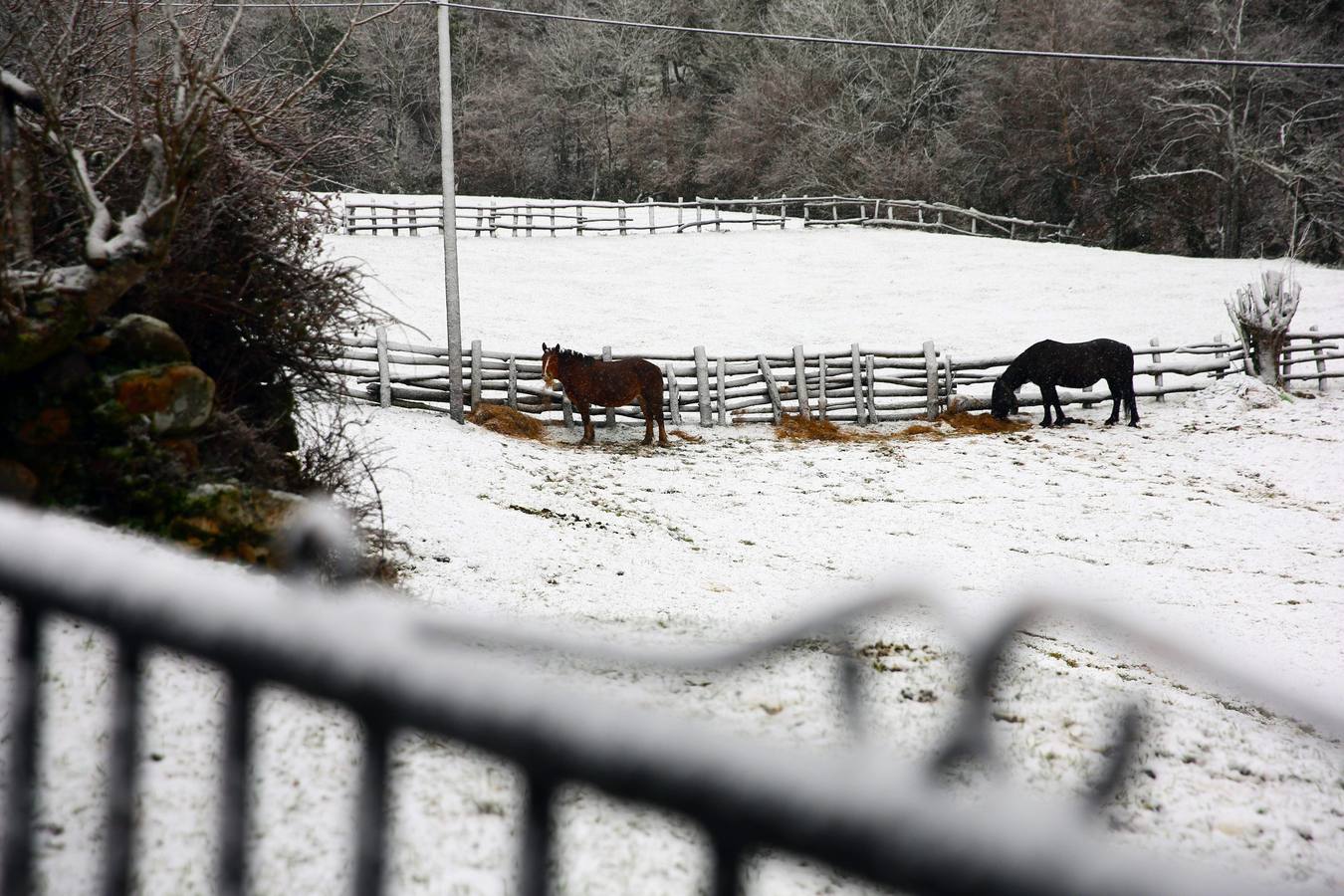 Asturias, en alerta por viento y nevadas