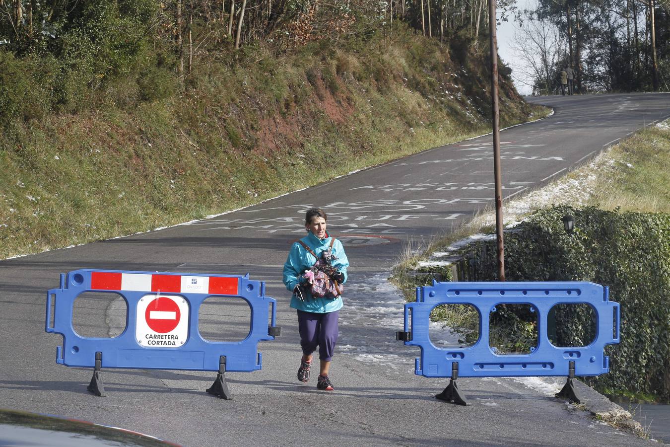 Caen los primeros copos en Oviedo