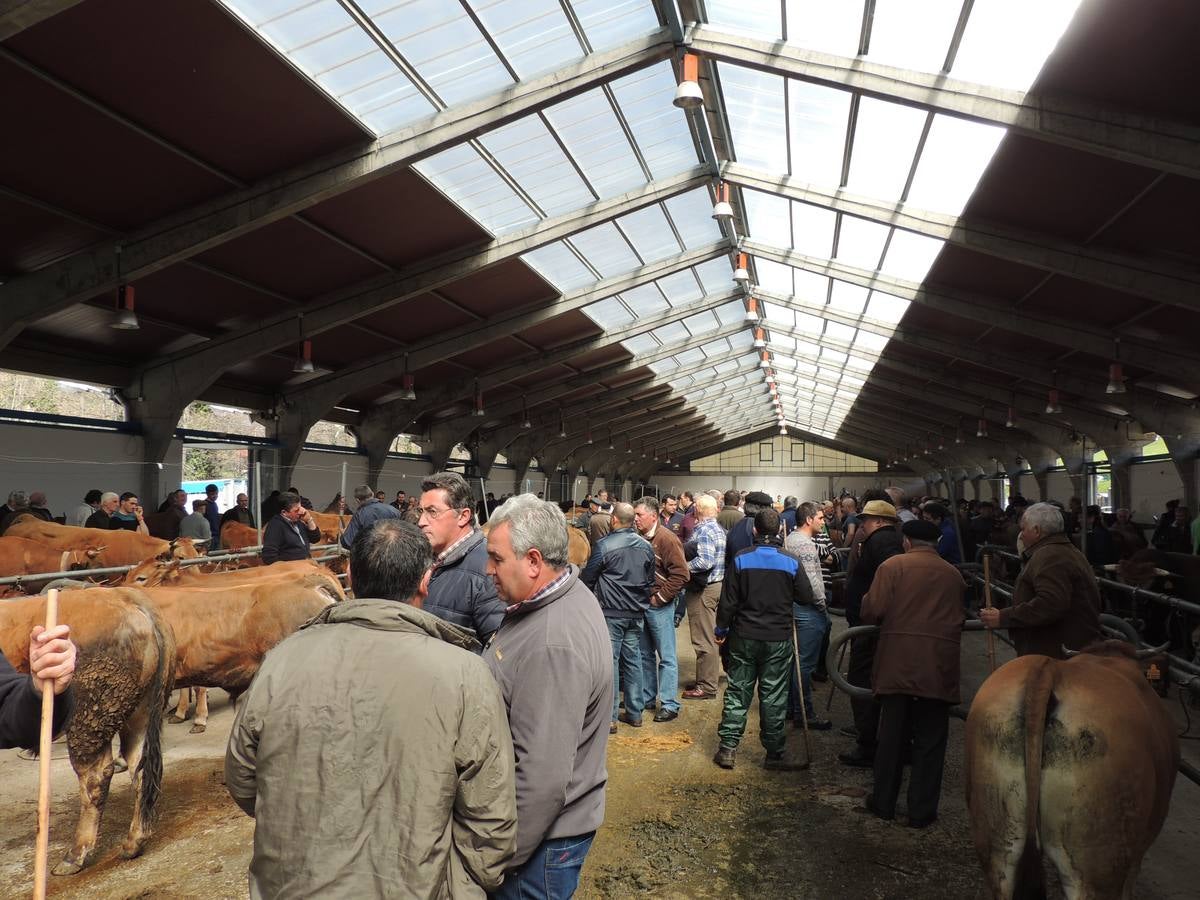 Feria ganadera de Ramos en Cangas del Narcea