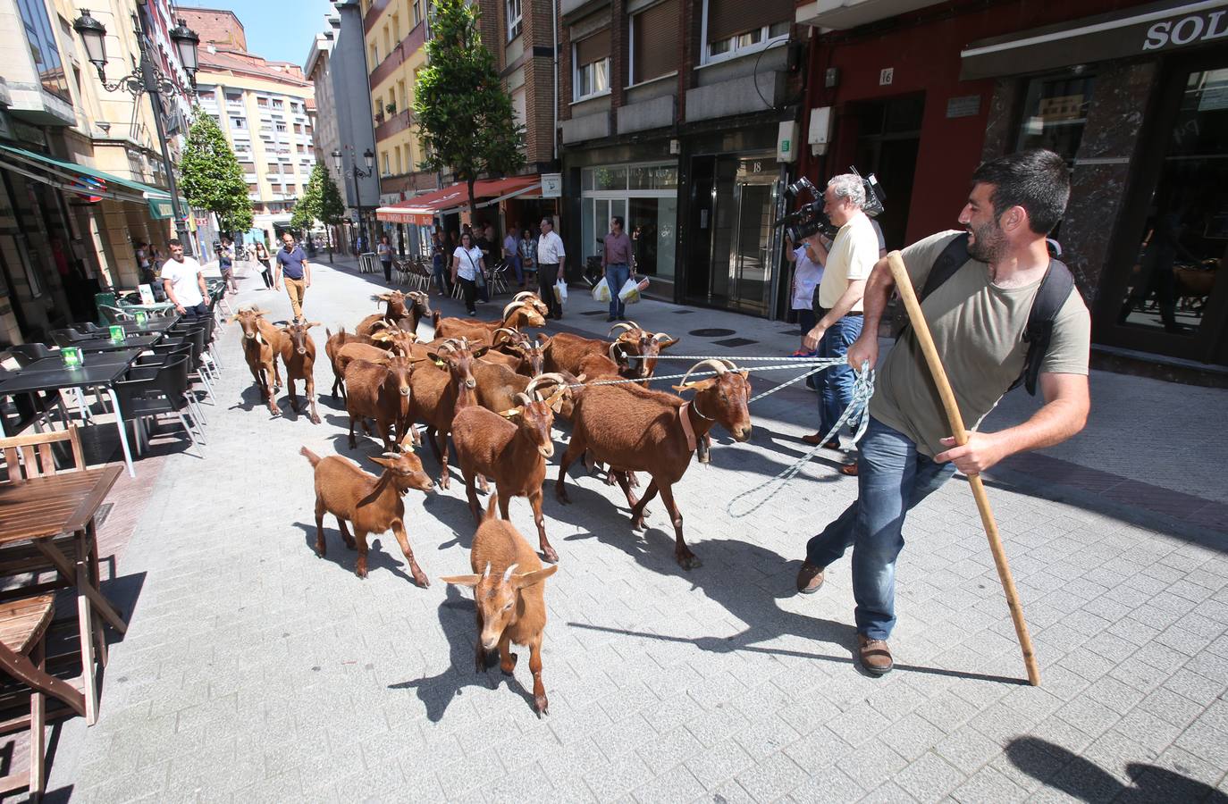 Las cabras toman Gascona