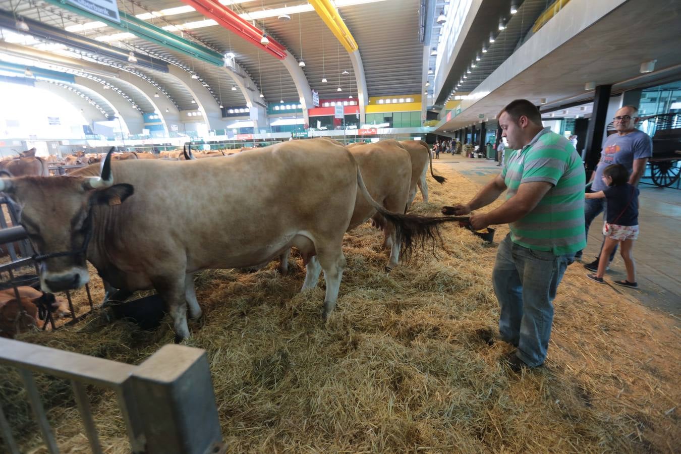 Más que vacas y toros en el Concurso de Ganado de San Agustín