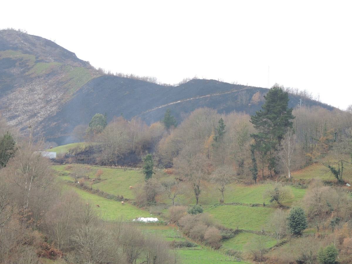 Los daños del fuego en Cangas del Narcea