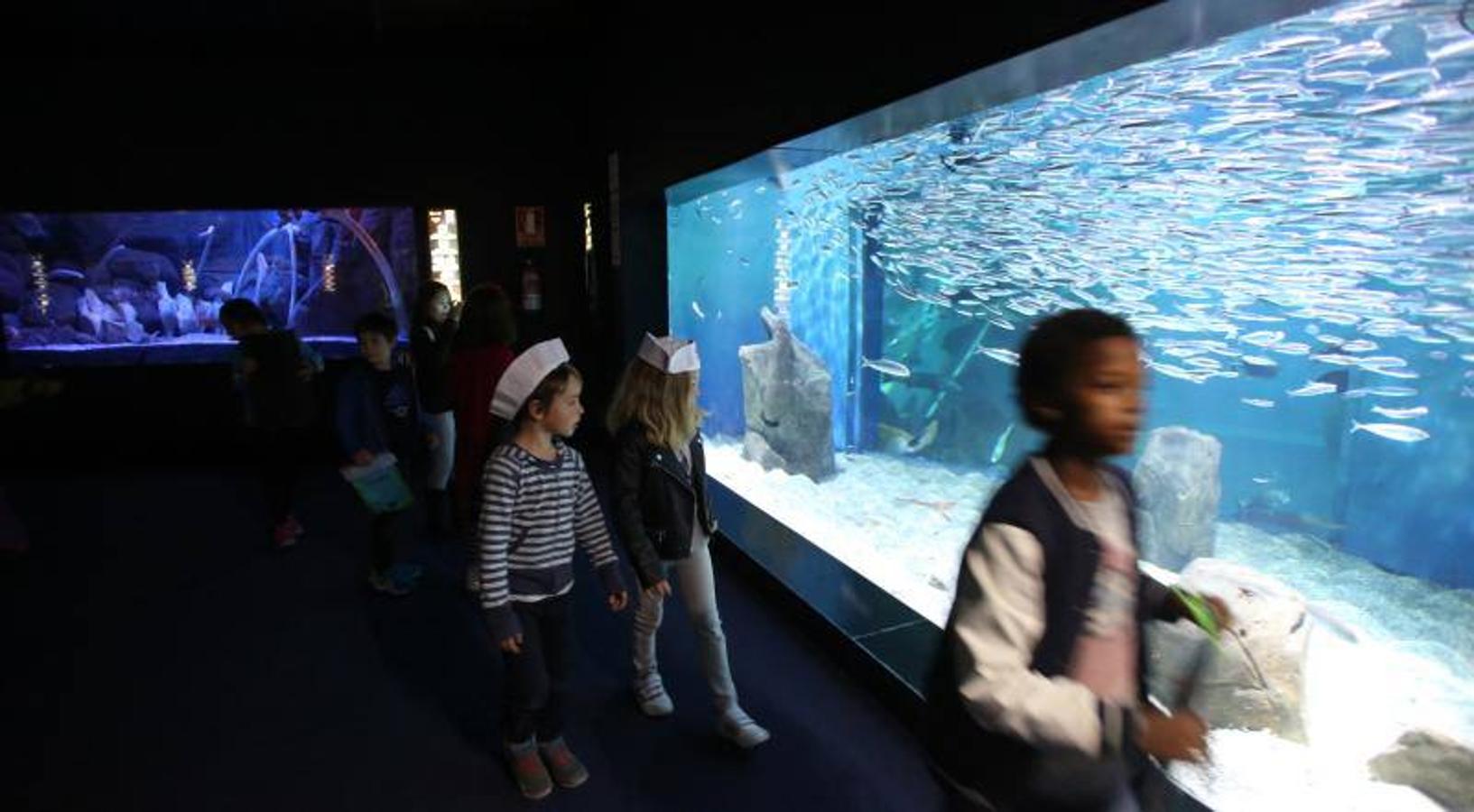 El acuario de Gijón celebra su décimo aniversario