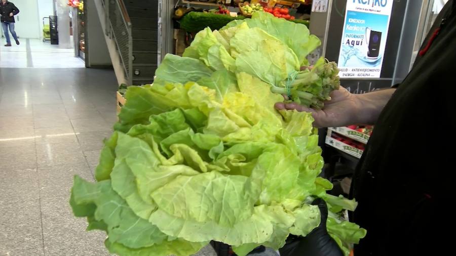 La berza, amarilla y muy dura»