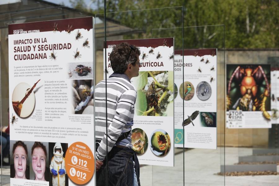 Jornada de puertas abiertas en el Botánico de Gijón