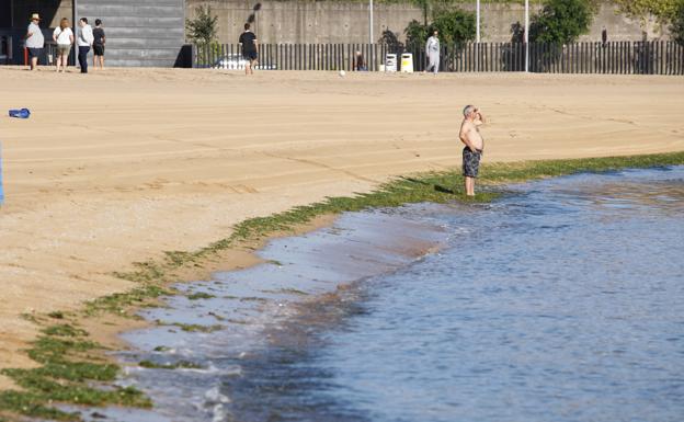 Instan a mejorar la limpieza de El Arbeyal por las algas