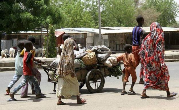 Naciones Unidas reparte 3.600 cabras a mujeres en el noreste de Nigeria