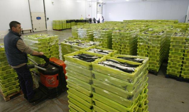 Las rulas asturianas aumentaron casi un 20% sus ventas de enero a junio