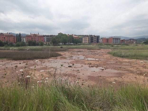 Las charcas del Cierrón, sin agua