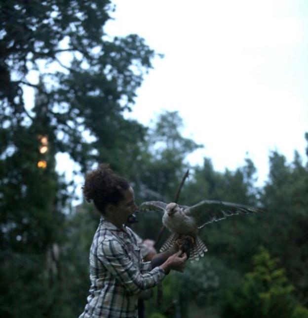 Los señores de la noche