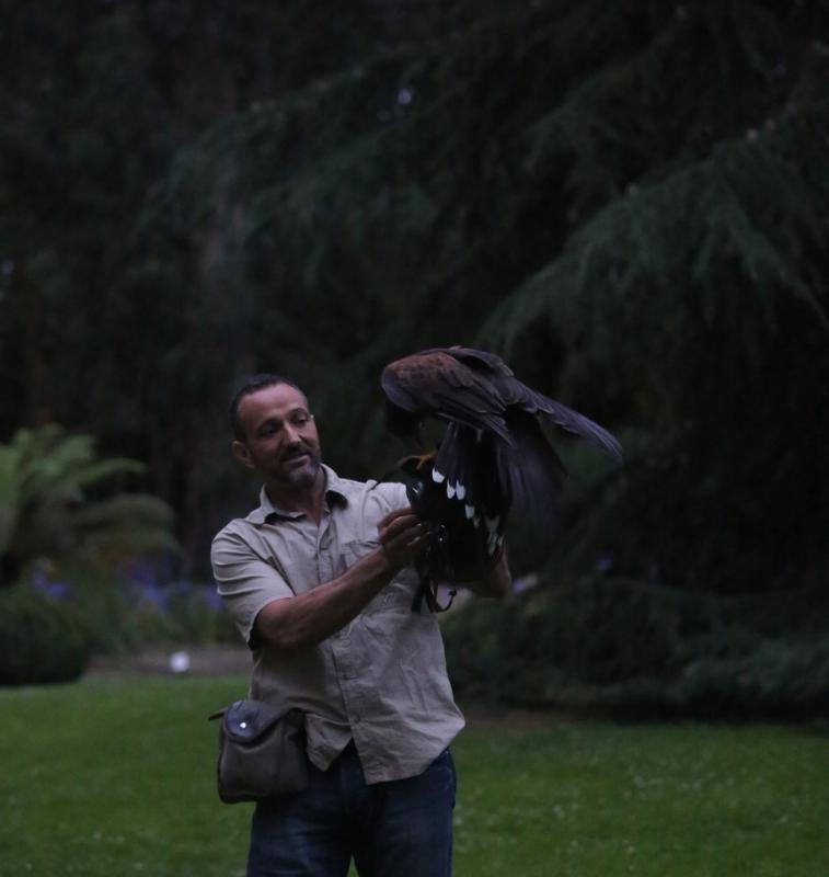 Las aves rapaces impresionan en el Botánico