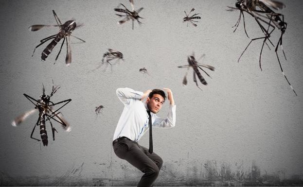 ¿Por qué los mosquitos pican más a unas personas que a otras?
