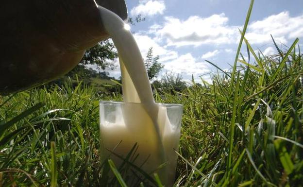 Jornada para analizar la actualidad el sector lácteo