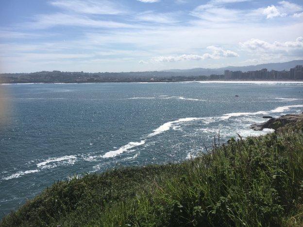 Manchas que causan 'inquietud' en el litoral