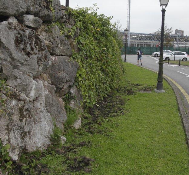 Los jabalíes 'van al fútbol'
