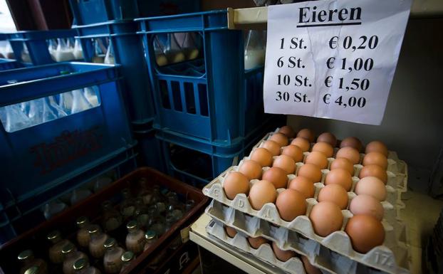 Cinco países en alerta sanitaria por huevos contaminados