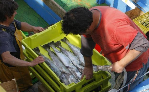 La Comisión Europea propone una reducción del 20% de la merluza cantábrica en 2018