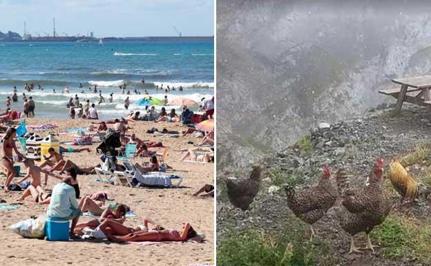 El puente en Asturias: sol Gijón y nieve en los Picos