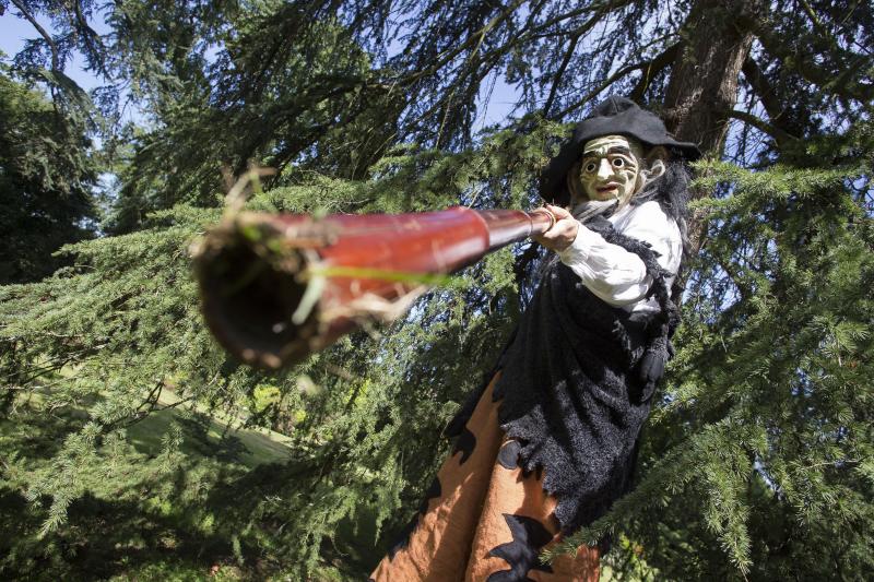 Vuelven las Noches Mágicas al Botánico de Gijón